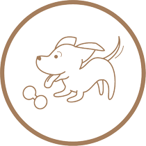 Hochwertiges Hundespielzeug